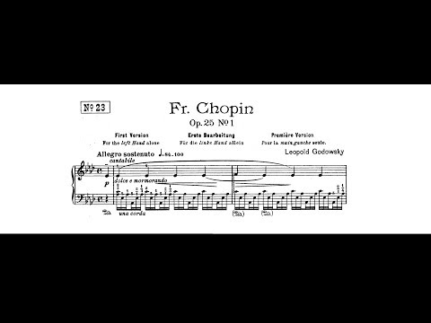 上下巻　GODOWSKY/Chopin Etudes Leopold Godowsky, Frederic Chopin, Marc-Andre Hamelin