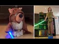 Shaggy has the High Ground (LIVE ACTION)
