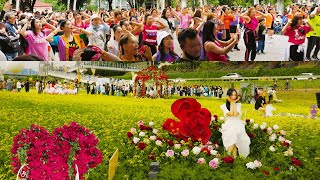 SEOUL ROSE FESTIVAL 2023, The prettiest festival in Seoul, Seoul Travel Walker.