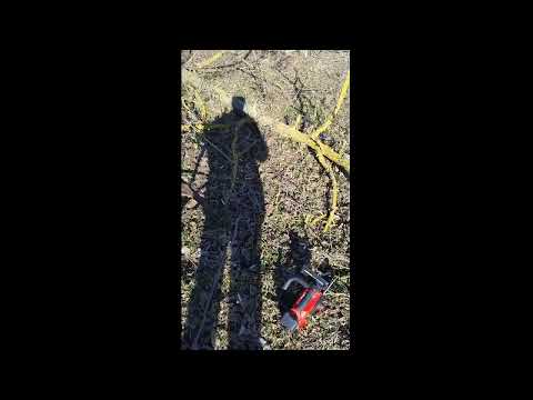 Ланцюгова пила Einhell X-Change FORTEXXA 18/20 TH (4600020)