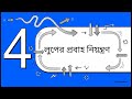 Introduction to Programming Chapter:4 Decision Making and Looping (in Bengali)