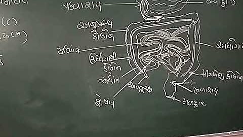 Std 11 Biology ch 16 part 1 SHREEMAD DAYANAND KANYA VIDYALAYA
