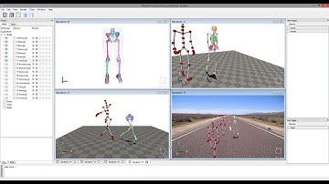 Dynamic Human Musculoskeletal Modeling - Test Demo