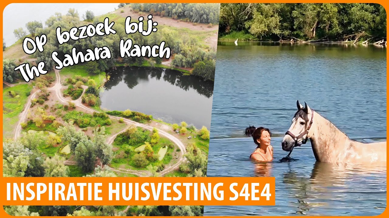 8 hectare NATUURGEBIED voor deze paarden! 🐎 Inspiratie Huisvesting S4E3