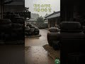 🌧️ Korean Hanok Rain ASMR | 비가 오히려 기분 좋은 날 | Gentle Rain Sounds