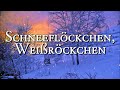 Schneeflöckchen, Weißröckchen [German Christmas Song][+Lyrics]