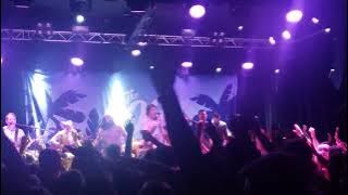 The 502s - Waves- live