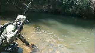 Mancing mahseer babon (ikan dewa) kancra mangur hikeu udikan.mountain streamfishing