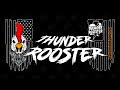 Welcome to thunder rooster