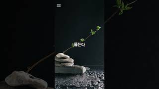 #하루한말씀 #침묵의지혜 #부처님말씀 #마음공부 #조용한힘  #PowerOfSilence #WisdomInSilence #HealingShorts #Mindfulness