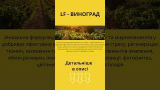 LF - ВИНОГРАД 🌱 #агро  #АгроекспертТрейд #АгроЗнайка  #shorts
