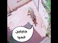 ياجليلين الحيا