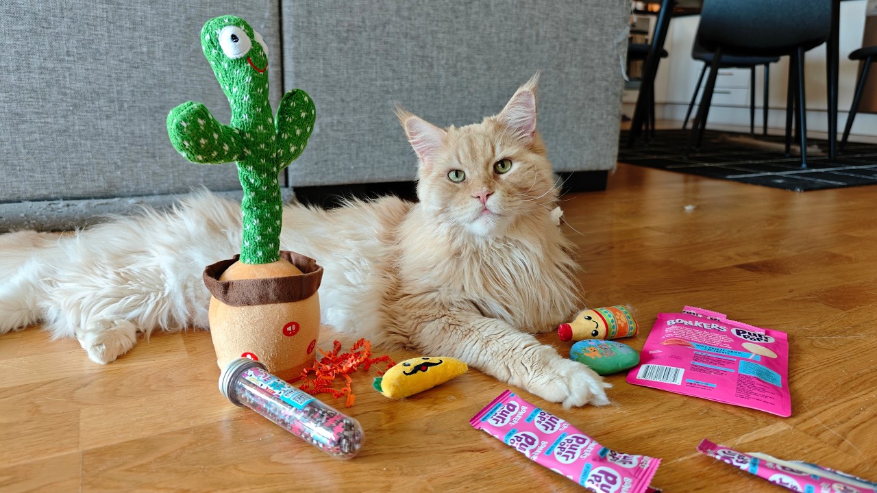 Buster Opens Mystery Package!