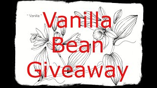 The Great Vanilla Bean Giveaway