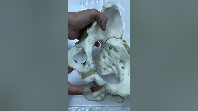 Итпен порно