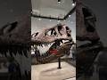 The Origin of T. rex: The Family Tree to Giant Status #shorts