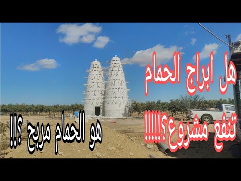 هل ابراج الحمام تنفع مشروع و هو اصلا تربيه الحمام مربحه شوف الجواب مع ابو مازن الفخراني01010558690