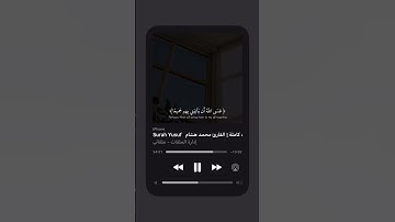 قَالَ بَلْ سَوَّلَتْ لَكُمْ أَنفُسُكُمْ أَمْرًا ۖ فَصَبْرٌ جَمِيلٌ ۖ عَسَى ( سورة يوسف )