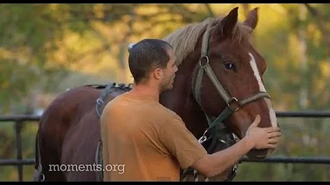 The Horse Logger (A Moment of Hope)
