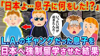 「日本よ…息子にいったい何をした！？」ロサンゼルスでギャングに入り手がつけられなかった息子を日本へ強制留学させた結果…【海外の反応】【ゆっくり解説】