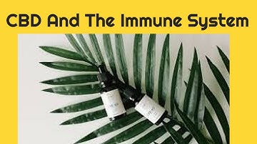 CBD For The Immune System - CBD And The Immune System