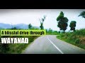 A blissful drive through WAYANAD | Kerala