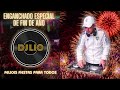 Felices fiestas 2023 dj lio 