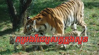 កម្រង Videos សត្វក្នុងសួន 🦎@@https://youtube.com/@SokSothea-zq8zk?si=NjQDQpZOtkPpyZ5J