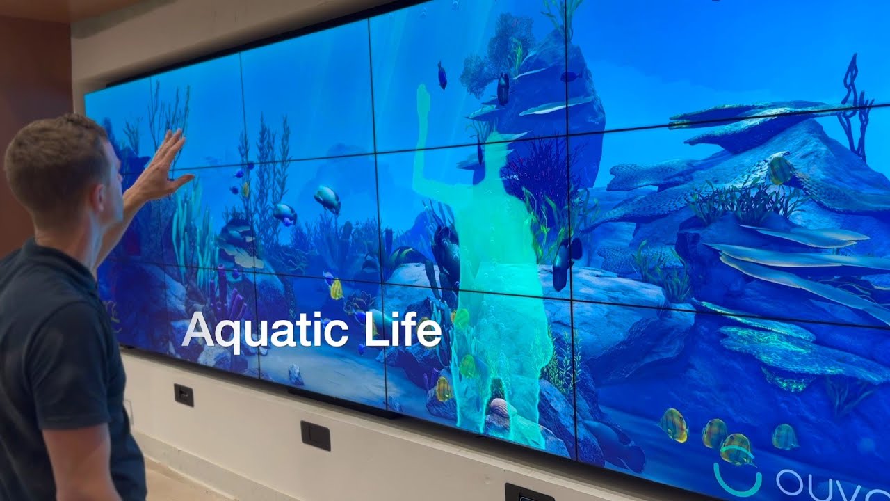 Play video: Interactive Video Wall at Piedmont Children's Hospital — Aquatic Life