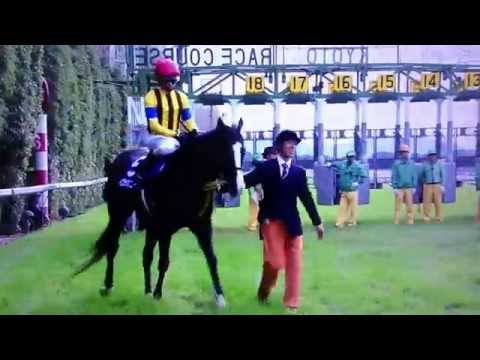 【馬基地TV】第32回 マイルチャンピオンシップ GⅠ(2015・11・22)【レース映像】