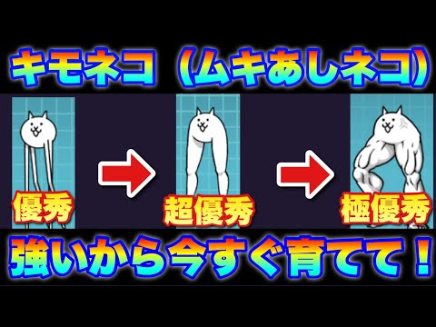Live Battle Cats] A thorough explanation of the recommended normal