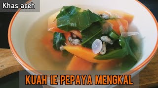 MASAK KUAH IE PEPAYA MENGKAL || KUAH SAYUR KHAS ACEH @PutriHumairavlog