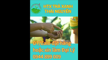 Chè Thái Nguyên ngon nhất - Giá rẻ nhất