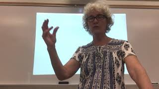 Coronacam Thermoregulation (Part 2)