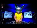 Electro cats  sunday live session 4 tech house