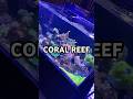 Watch my corals grow #reef2reef #saltwateraquarium #reeflife #reef #marineaquarium #fish #coralreef