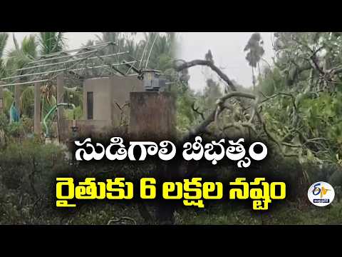 తూర్పుగోదావరిలో సుడిగాలి బీభత్సం.. 6 ఎకరాల జీడి తోట ధ్వంసం