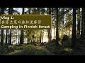 Vlog01: Camping in Finnish Forest/在芬兰的夏日森林里露营（超好吃的篝火三明治）