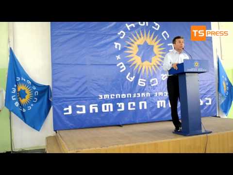 ივანიშვილი ბიზნესის ზეწოლაზე