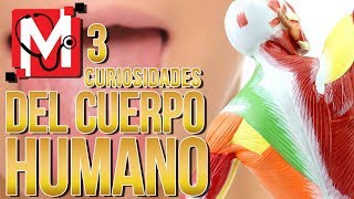 3 Curiosidades del Cuerpo Humano