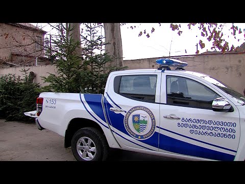 წიწვოვანი ხეების უკანონო მოპოვება-რეალიზაციის ფაქტი გამოავლინეს