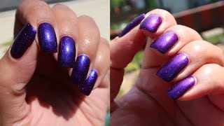 Speedpolishing Holo Taco Late Checkout | MSLP