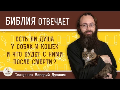 Видео: Есть ли душа у собак и кошек и что будет с ними после смерти ? Священник Валерий Духанин. Библия