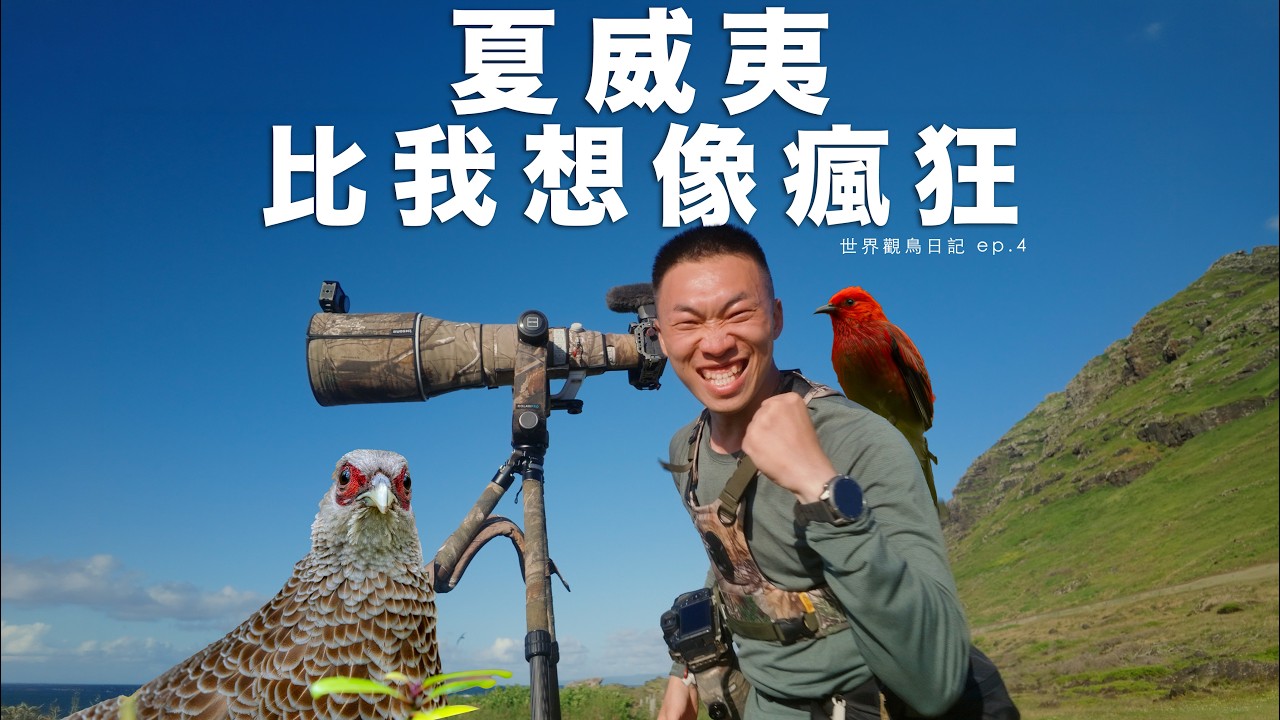 夏威夷除了海灘、衝浪、度假！居然還有一堆稀有鳥類！｜世界觀鳥日記 EP.4 縮圖