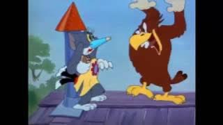 Tom and Jerry - Flirty Birdy