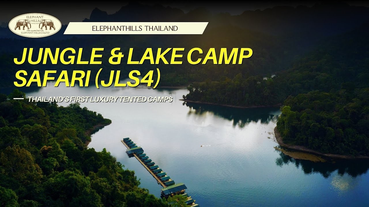 Elephant Hills : 4 Days Jungle & Lake Camp Safari , Khao Sok National Park,  Thailand