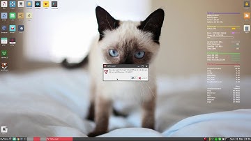 Puppy Linux 8..What is an sfs.file..????