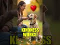 How to Spot a Good Dog Trainer