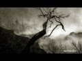 Miniatura de video para PERENNIAL ISOLATION: Conviction of Voidness (Official Album Teaser, Darkwoods 2014)