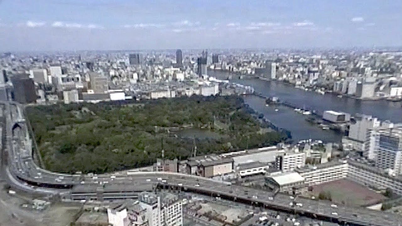 『TOKYO 100km VIEW』　130号変形 '24.10.6 TOKYO 100km VIEW』 130号変形 ´24.10.6